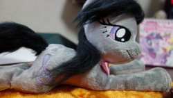 Size: 1472x829 | Tagged: artist needed, safe, octavia melody, g4, irl, photo, plushie