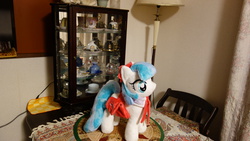 Size: 5472x3080 | Tagged: artist needed, safe, coco pommel, g4, irl, photo, plushie