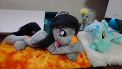 Size: 1472x829 | Tagged: artist needed, safe, derpy hooves, lyra heartstrings, octavia melody, pegasus, pony, g4, female, irl, mare, photo, plushie