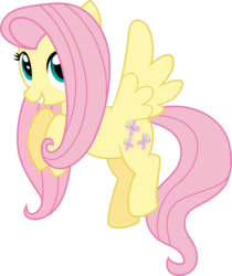 Size: 2519x3000 | Tagged: safe, artist:katequantum, fluttershy, pegasus, pony, g4, female, high res, simple background, solo, transparent background, vector