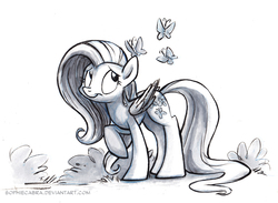 Size: 800x586 | Tagged: safe, artist:kenket, artist:spainfischer, fluttershy, butterfly, pony, g4, female, monochrome, solo