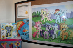 Size: 5184x3456 | Tagged: safe, applejack, derpy hooves, fluttershy, pinkie pie, rainbow dash, rarity, twilight sparkle, pegasus, pony, g4, collectible, female, mare, room, signature