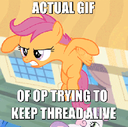 Size: 407x405 | Tagged: safe, edit, edited screencap, screencap, scootaloo, pegasus, pony, for whom the sweetie belle toils, g4, animated, caption, female, filly, meta, op, scootaloo can't fly, solo, text