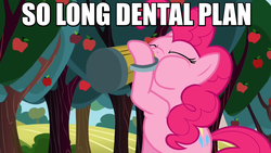 Size: 883x497 | Tagged: safe, pinkie pie, earth pony, pony, g4, cider, dental plan, drinking, female, image macro, male, meme, solo, the simpsons
