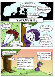 Size: 1024x1446 | Tagged: safe, artist:crazydiary86, rarity, spike, g4, bouquet, comic, female, friendzone, heartbreak, male, sad, ship sinking, shipping, shipping denied, sparity but not sparity, straight, sunset