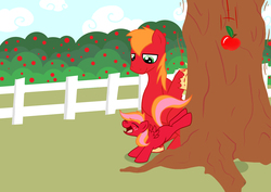 Size: 4961x3508 | Tagged: safe, artist:teengirl, big macintosh, oc, oc:autumn breeze, earth pony, pony, g4, applebucking, father and daughter, male, offspring, parent:big macintosh, parent:fluttershy, parents:fluttermac, stallion
