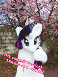 Size: 750x1000 | Tagged: safe, artist:girlieginger, rarity, human, g4, cosplay, fursuit, irl, irl human, photo, solo