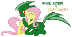 Size: 3017x1559 | Tagged: safe, artist:ponychaos13, fluttershy, oc, g4, canon x oc, duo, female, male, straight