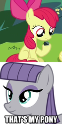 Size: 450x900 | Tagged: safe, apple bloom, maud pie, g4, leap of faith, caption, hilarious in hindsight, image macro, maudbloom, meme, pony that's my pony, rock, that's my pony, that's my x