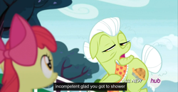 Size: 1600x830 | Tagged: safe, screencap, apple bloom, granny smith, g4, leap of faith, hub logo, meme, youtube caption