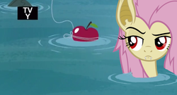 Size: 639x344 | Tagged: safe, edit, edited screencap, screencap, fluttershy, g4, leap of faith, my little pony: friendship is magic, apple, episode crossover, female, fishing, flutterbat, scene parody, solo, water