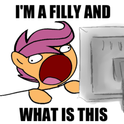 Size: 800x800 | Tagged: safe, artist:lootascoo, scootaloo, g4, artifact, female, i'm a filly and what is this, i'm twelve years old and what is this?, reaction image, solo, sweetie derelle