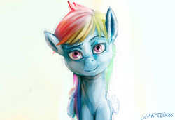 Size: 3024x2068 | Tagged: safe, artist:sharpieboss, rainbow dash, g4, female, high res, solo
