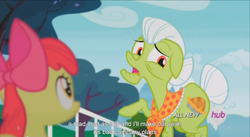 Size: 1393x763 | Tagged: safe, screencap, apple bloom, granny smith, g4, leap of faith, hub logo, meme, youtube caption