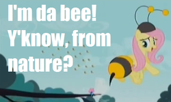 Size: 542x322 | Tagged: safe, edit, edited screencap, screencap, fluttershy, seabreeze, bee, breezie, pony, g4, it ain't easy being breezies, animal costume, bee costume, clothes, costume, female, flutterbee, homestar runner, image macro, mare, meme, strong bad
