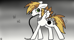 Size: 1366x738 | Tagged: safe, artist:madkaichi, oc, oc only, pegasus, pony, blushing, kai, mouth hold, solo, whip