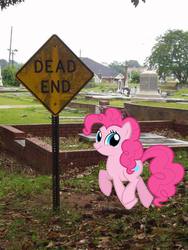 Size: 588x784 | Tagged: safe, pinkie pie, g4, graveyard, irl, photo, ponies in real life, pun, sign, twiface, wrong neighborhood