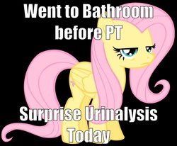 Size: 1002x825 | Tagged: safe, fluttershy, g4, female, image macro, meme, solo