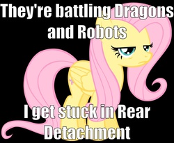 Size: 1002x825 | Tagged: safe, fluttershy, g4, female, image macro, meme, solo