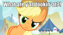 Size: 1280x717 | Tagged: safe, edit, edited screencap, screencap, applejack, earth pony, pony, g4, leap of faith, applejack's hat, caption, cowboy hat, female, fourth wall, hat, hub logo, looking at you, mare, solo, the hub