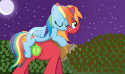 Size: 800x470 | Tagged: safe, artist:karmadash, big macintosh, rainbow dash, earth pony, pony, g4, carrying, cute, eyes closed, male, moon, night, ponies riding ponies, rainbow dash riding big macintosh, riding, ship:rainbowmac, shipping, sleeping, smiling, stallion, straight, tree