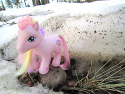 Size: 4320x3240 | Tagged: safe, artist:eurocoin, fluttershy, g3, g4, irl, photo, solo, toy