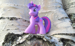 Size: 4036x2520 | Tagged: safe, artist:eurocoin, twilight sparkle, g4, irl, photo, solo, toy