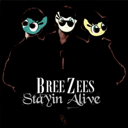 Size: 640x640 | Tagged: safe, breezie, album parody, bee gees