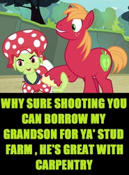 Size: 674x912 | Tagged: safe, screencap, big macintosh, granny smith, earth pony, pony, g4, leap of faith, duo, female, grandmother and grandchild, image macro, male, meme, missing the point, stallion