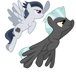 Size: 4281x4025 | Tagged: safe, artist:dreamcasterpegasus, rumble, thunderlane, pegasus, pony, g4, absurd resolution, brothers, colt, duo, flying, male, older, simple background, stallion, teenager, transparent background