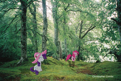 Size: 1159x776 | Tagged: safe, artist:digitalpheonix, artist:sakatagintoki117, artist:silentmatten, pinkie pie, rarity, g4, forest, hat, irl, photo, ponies in real life, shadow, vector