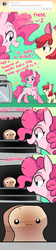 Size: 515x2313 | Tagged: safe, artist:pekou, apple bloom, pinkie pie, earth pony, pony, ask my little chubbies, g4, :3, adorabloom, ask, bread, chubbie, comic, cute, diapinkes, tumblr