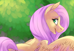 Size: 1344x938 | Tagged: safe, artist:risu-nya, fluttershy, pegasus, pony, g4, bust, female, looking at you, looking back, looking back at you, mare, open mouth, rear view, smiling, solo, spread wings, wings