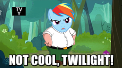 Size: 576x324 | Tagged: safe, edit, rainbow dash, g4, it ain't easy being breezies, family guy, griffonized, image macro, male, meme, peter griffin, pun, rainbow griffon, this is epic, visual pun