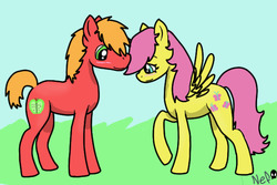 Size: 600x400 | Tagged: safe, artist:narcissistic narwhal, big macintosh, fluttershy, earth pony, pony, g4, base used, blushing, colt, male, ship:fluttermac, shipping, stallion, straight, younger