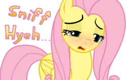 Size: 4000x2516 | Tagged: safe, artist:masterxtreme, fluttershy, pegasus, pony, g4, cold, crying, cute, female, fetish, mare, pre sneeze, ready to sneeze, red nosed, sick, simple background, sneezing, sneezing fetish, solo, transparent background