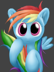 Size: 600x800 | Tagged: safe, artist:horuru, rainbow dash, g4, female, pixiv, solo