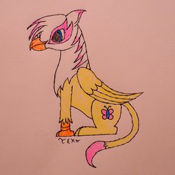 Size: 894x894 | Tagged: safe, artist:tek314, fluttershy, griffon, g4, female, fluttergriffon, griffonized, solo, species swap