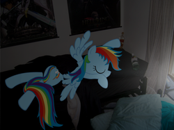 Size: 3066x2296 | Tagged: safe, artist:lagrenoilleplen, rainbow dash, g4, bed, bottle, bronybait, butt, cutie mark, drunk, eyes closed, flank, hangover, high res, irl, messy hair, messy mane, phone, photo, pillow, plot, ponies in real life, poster, prone, sleeping, solo, sword, wings