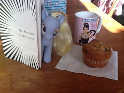 Size: 960x720 | Tagged: safe, derpy hooves, pegasus, pony, g4, book, fashion style, female, irl, mare, muffin, mug, photo, solo, toy