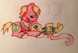 Size: 2275x1535 | Tagged: safe, artist:dreamyeevee, big macintosh, fluttershy, earth pony, pony, g4, clothes, male, scarf, ship:fluttermac, shipping, stallion, straight, traditional art