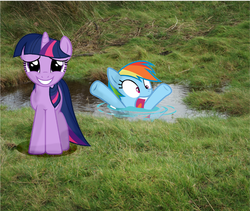 Size: 3056x2576 | Tagged: safe, artist:fire-d-brony540, rainbow dash, twilight sparkle, g4, drowning, duo, high res, irl, photo, ponies in real life, swimming, water