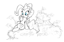 Size: 8614x5735 | Tagged: safe, artist:dfectivedvice, pinkie pie, insect, g4, absurd resolution, black and white, female, grayscale, monochrome, partial color, sitting, sketch, solo, traditional art, wip