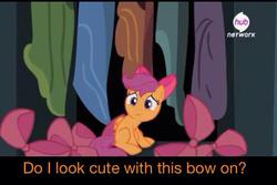 Size: 640x428 | Tagged: safe, edit, edited screencap, screencap, scootaloo, pegasus, pony, g4, somepony to watch over me, apple bloom's bow, bow, bronybait, caption, cute, cutealoo, female, filly, hair bow, hub logo, question, sitting, smiling, solo, text, weapons-grade cute, yes