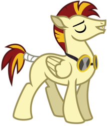 Size: 1332x1564 | Tagged: safe, artist:ivyhaze, oc, oc only, pegasus, pony, auction, blank flank, goggles, gold tooth, male, mohawk, solo, stallion