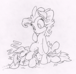 Size: 1033x1000 | Tagged: safe, artist:dfectivedvice, pinkie pie, rainbow dash, pony, g4, belly button, bipedal, grayscale, monochrome, sketch, sleeping, snoring, traditional art, zzz