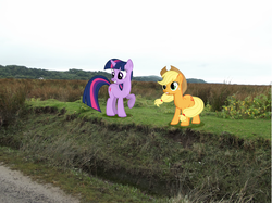 Size: 2532x1896 | Tagged: safe, artist:fire-d-brony540, applejack, twilight sparkle, g4, duo, irl, photo, ponies in real life