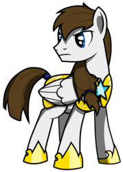 Size: 1880x2626 | Tagged: safe, artist:bigshot232, oc, oc only, oc:blue skies, pegasus, pony, 2021 community collab, derpibooru community collaboration, guard, male, simple background, solo, stallion, standing, transparent background