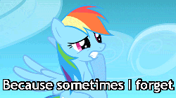 Size: 500x281 | Tagged: safe, edit, edited screencap, screencap, rainbow dash, g4, animated, caption, female, friends are awesome, gif with captions, heartwarming, image macro, meme, sky, solo