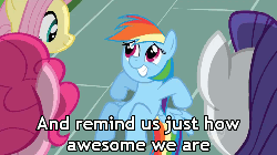 Size: 500x281 | Tagged: safe, screencap, fluttershy, pinkie pie, rainbow dash, rarity, g4, the cutie mark chronicles, animated, caption, dreamworks face, female, friends are awesome, gif with captions, heartwarming, image macro, meme